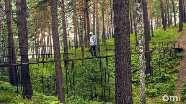 В Новосибирске начали массовый ремонт мостов