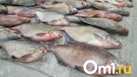 Жителей Омска предупреждают об опасной мясной, рыбной и молочной продукции