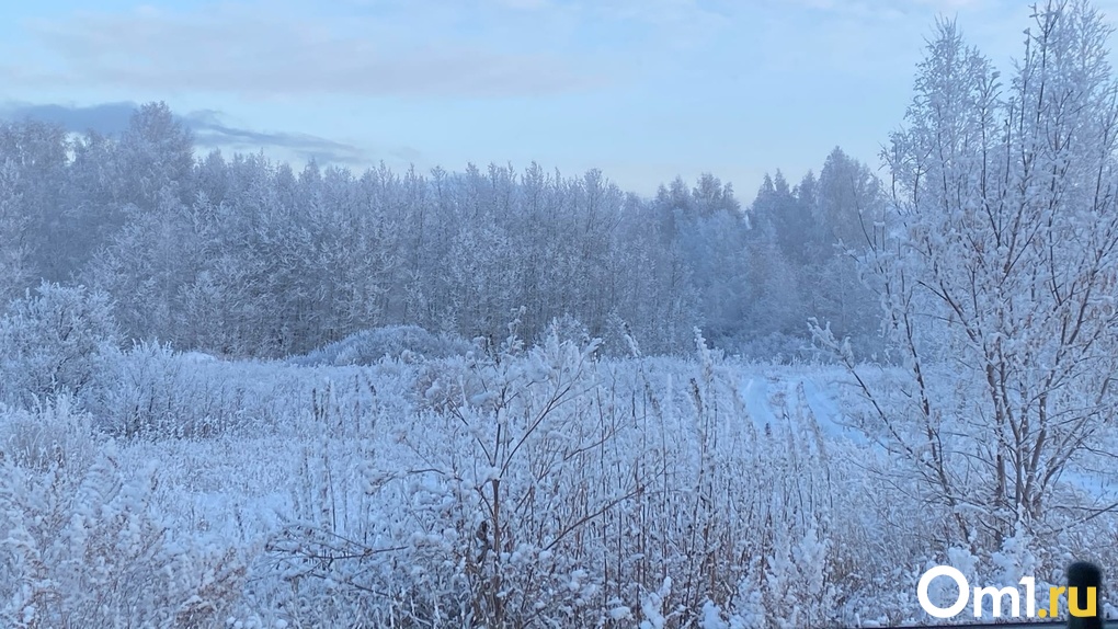 Резкое похолодание до -20 ожидается в Новосибирске