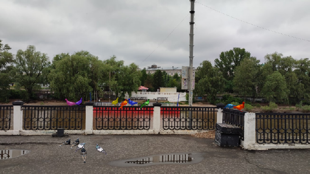 Появились эскизы радужных голубей, которые появятся на набережной в Омске