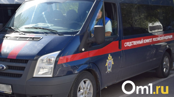 Следователи проверят семью сбежавшего в Новосибирске 11-летнего мальчика