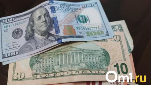 Иноагент из Новосибирска Лазарева* продаёт выходные с собой за 800 евро