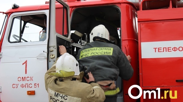 В Омске ночью на Ленинградском мосту пылала маршрутка