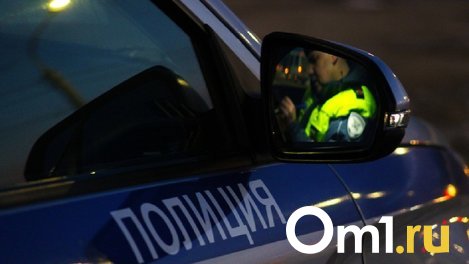 В Омске водитель сбил двух девочек, перебегавших дорогу в неположенном месте