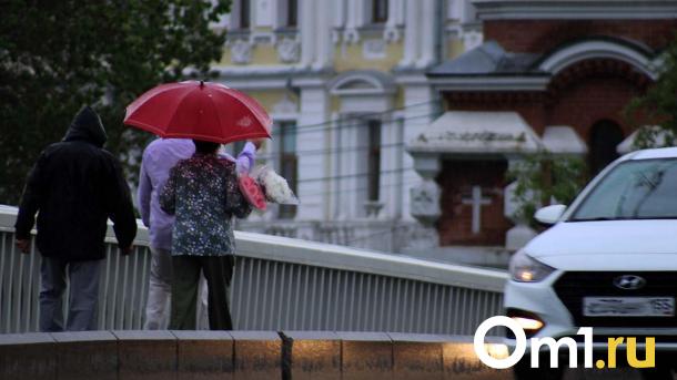 Рабочая неделя в Омске начнётся с бури