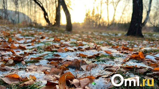 Снег и гололёд: новый прогноз погоды составили в Новосибирске на неделю