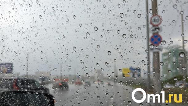 Вместе с летней жарой на Омск надвигается шквалистый ветер