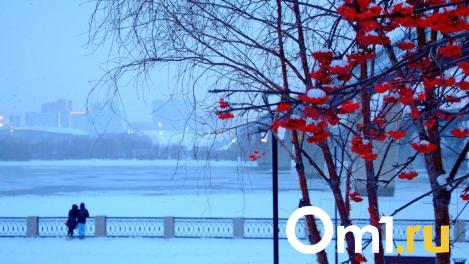 В выходные на Омск обрушится снежная буря и метель