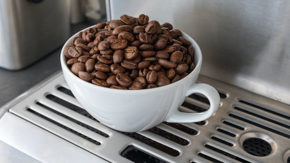 Сколько стоит кофе в зернах. Кофе из зерна вырастить. Сколько стоят кофейные зерна. Beans 86.