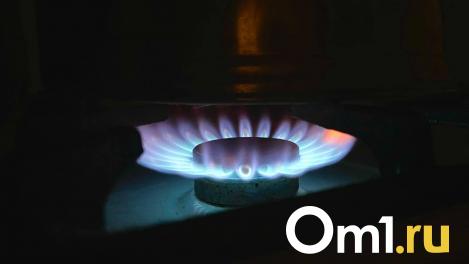 В Омской области с 1 ноября вырастут цены на газ