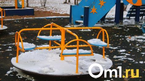 Берегите посадки: в Омске ударят заморозки и выпадет снег