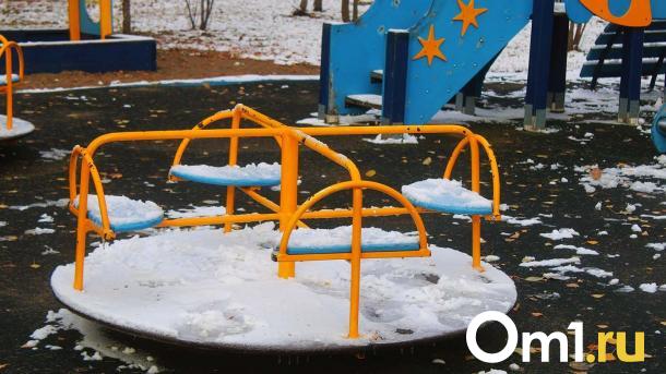 Берегите посадки: в Омске ударят заморозки и выпадет снег