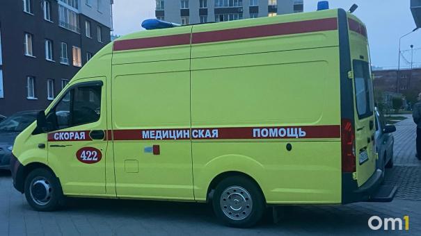 Двое погибли в лобовой аварии под Новосибирском