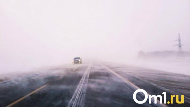 Метель и резкие перепады температуры ждут омичей на старый Новый год