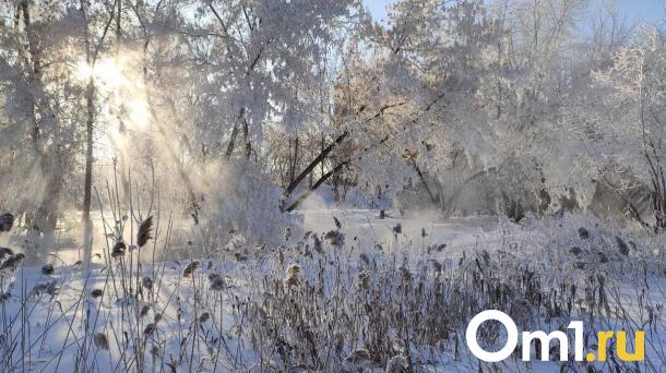 В Омске снова зима: готовьтесь к морозам