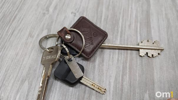 В Омской области пьяный прохожий угнал иномарку и разбил её в кювете