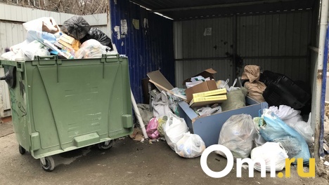 Депутаты Заксобрания Новосибирской области потребовали принятия экстренных мер по мусорной концессии