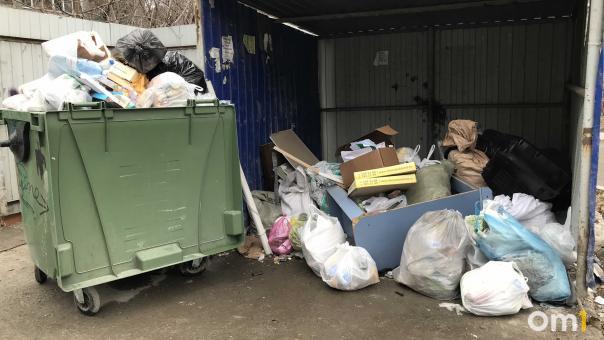 Депутаты Заксобрания Новосибирской области потребовали принятия экстренных мер по мусорной концессии