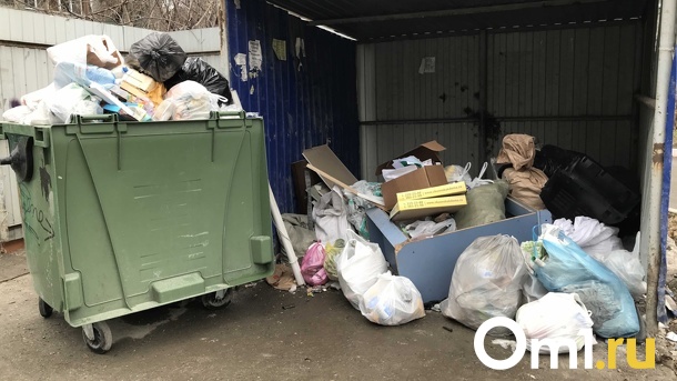 Депутаты Заксобрания Новосибирской области потребовали принятия экстренных мер по мусорной концессии