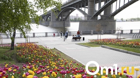 Вакцина от коронавируса и онлайн-карта: чем Новосибирск удивил весь мир