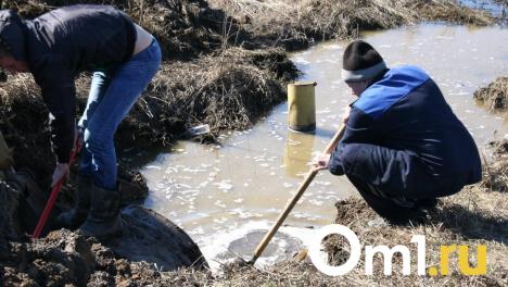 В Омской области ввели режим ЧС из-за того, что поля превращаются в болота