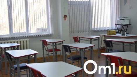 В новом омском микрорайоне построят большую школу с бассейном