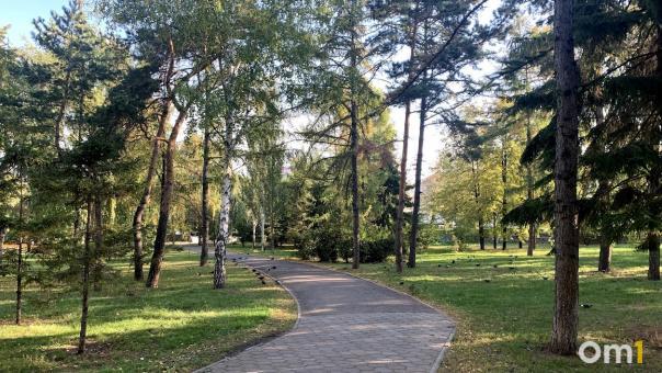 В Омске решили не создавать единого «повелителя парков»