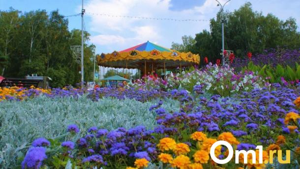 В Омской области за 21 миллион модернизируют популярный парк