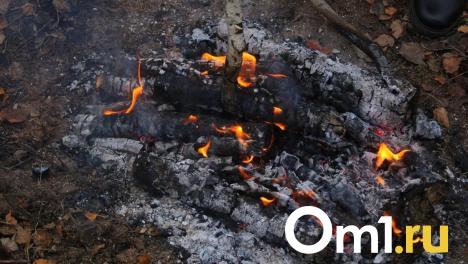 Пожары унесли жизни двух омичей за неделю