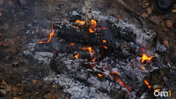 Пожары унесли жизни двух омичей за неделю