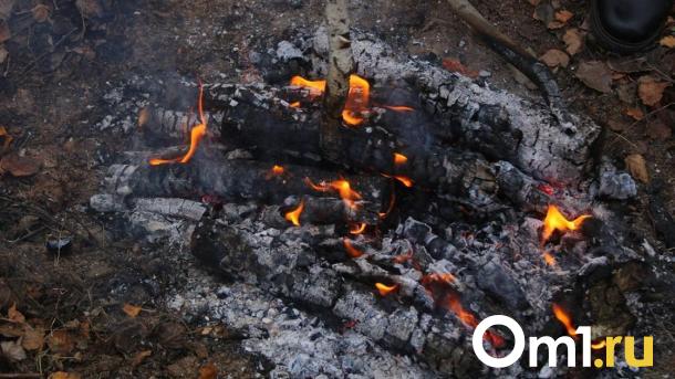 Пожары унесли жизни двух омичей за неделю