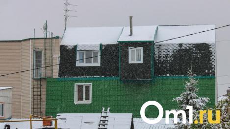 На севере Омской области выпал первый снег