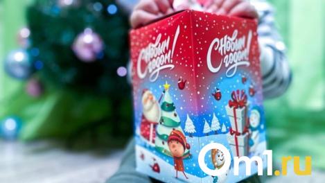 Судебные приставы исполнили желание 11-летней Насти в Новосибирске