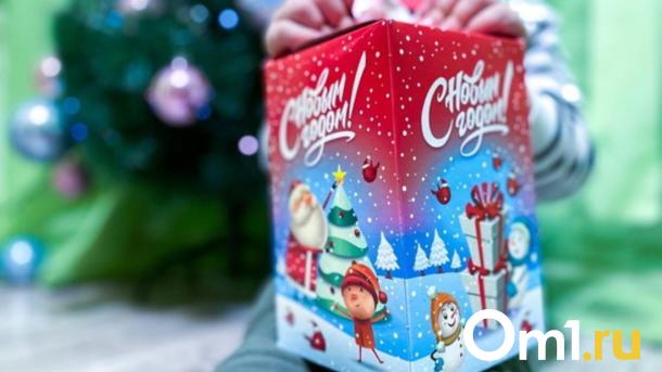 Судебные приставы исполнили желание 11-летней Насти в Новосибирске
