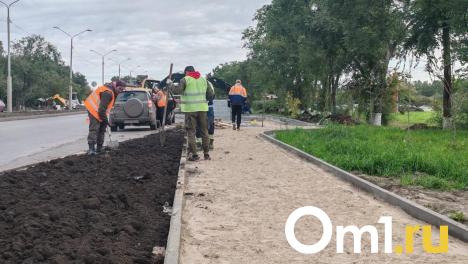 Дорогу к омскому аэропорту почти закончили