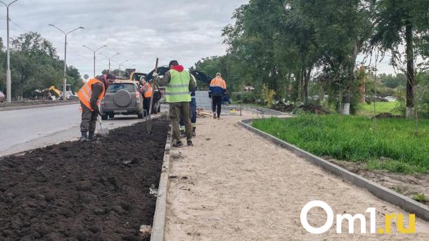 Дорогу к омскому аэропорту почти закончили