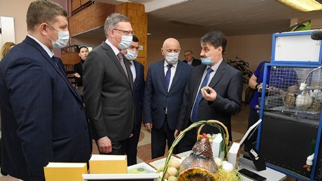 Сделать упор на семена