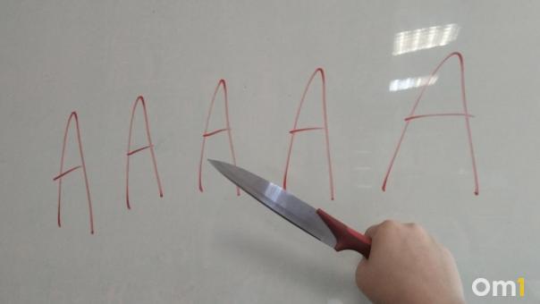 В Новосибирске мужчина зарезал кота на глазах у маленькой девочки