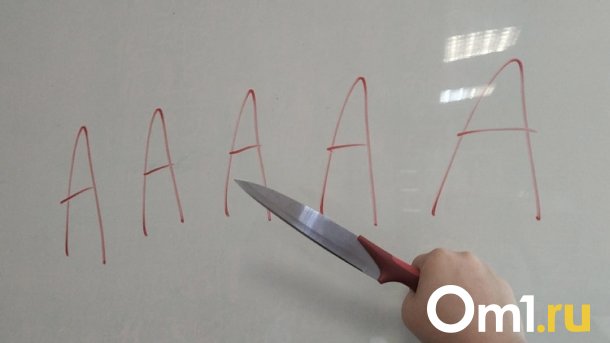 В Новосибирске мужчина зарезал кота на глазах у маленькой девочки