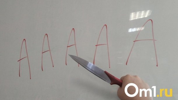 В Новосибирской области 24-летнего парня осудили за жестокое убийство женщины ради автомобиля