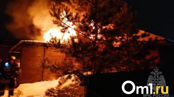 В один день в Омской области погибли два человека при пожаре