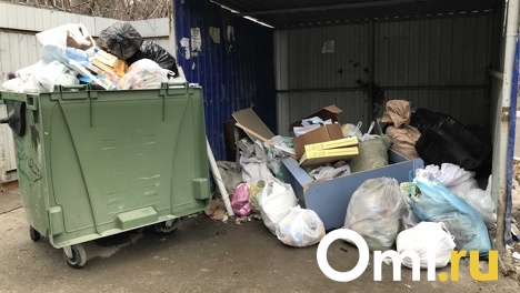 Мэр Новосибирска Анатолий Локоть ввёл режим повышенной готовности из-за мусорного апокалипсиса