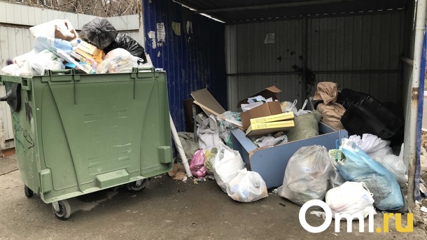 Мэр Новосибирска Анатолий Локоть ввёл режим повышенной готовности из-за мусорного апокалипсиса