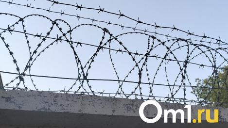 Уголовное дело в Омской области: мужчина обвиняется в истязании семьи
