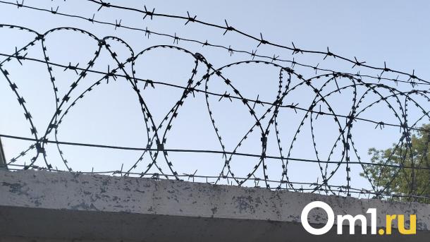Уголовное дело в Омской области: мужчина обвиняется в истязании семьи