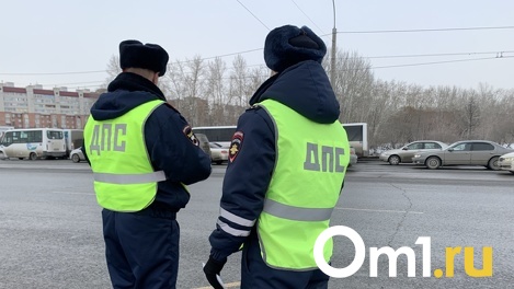 Пару новосибирцев подозревают в избиении полицейских. ФОТО