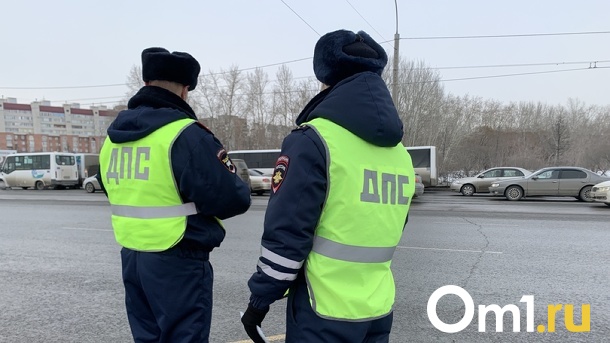 Пару новосибирцев подозревают в избиении полицейских. ФОТО