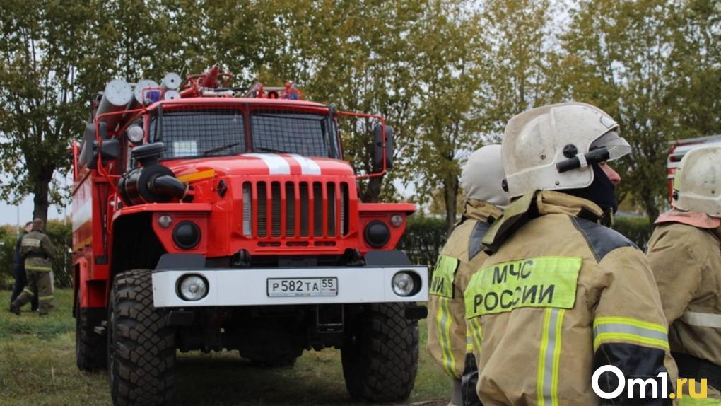 Из-за угрозы пожаров в Омской области закрыли 14 школ и больниц