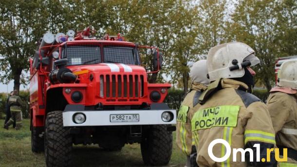 Из-за угрозы пожаров в Омской области закрыли 14 школ и больниц