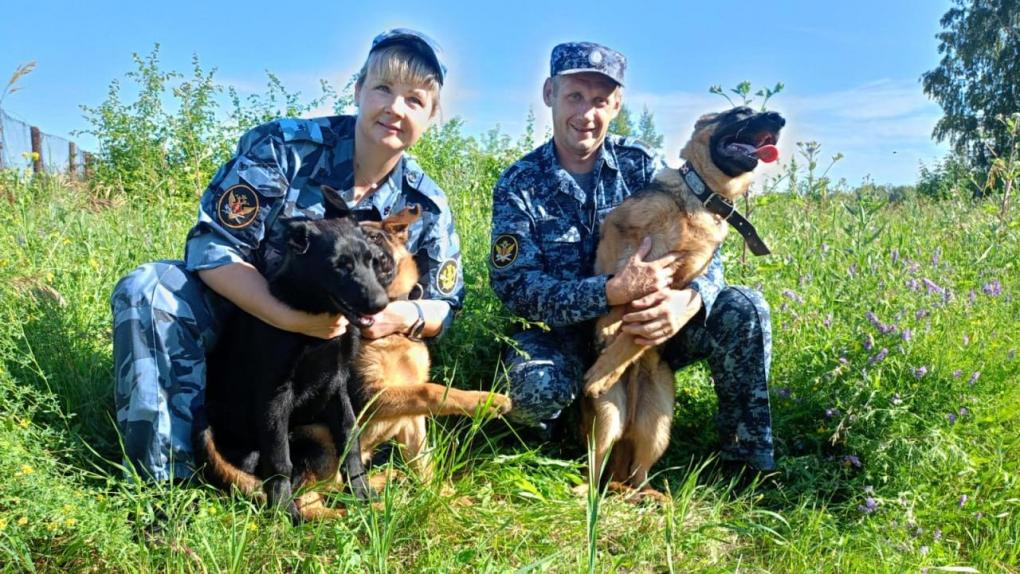 Шестеро омских щенят отправились служить в Томскую область